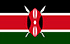 TGM Panel Tjen penger i Kenya