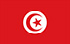 TGM Undersøkelser for å tjene penger i Tunisia